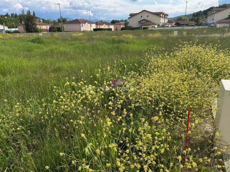ALPES IMMOBILIER