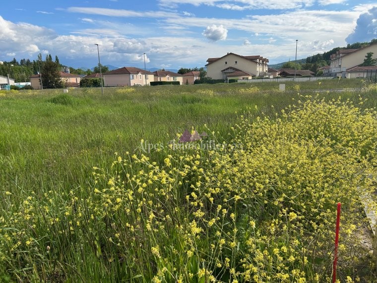 ALPES IMMOBILIER
