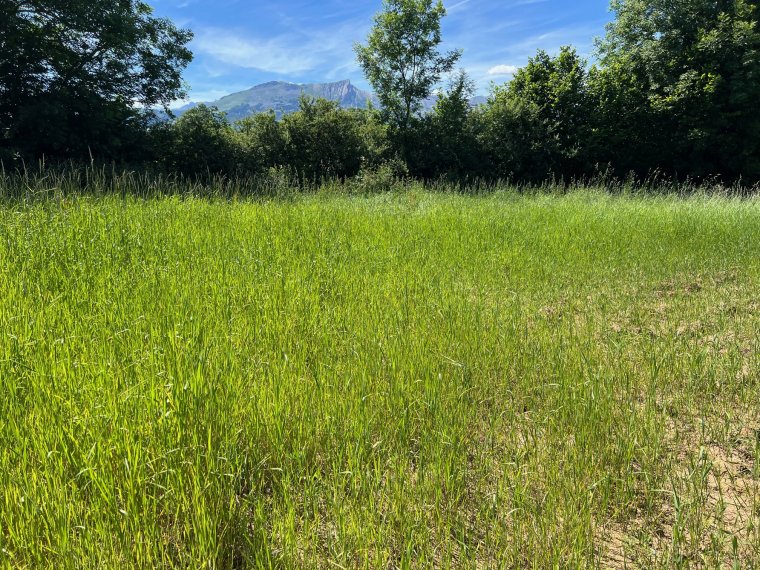 ALPES IMMOBILIER - photo 1