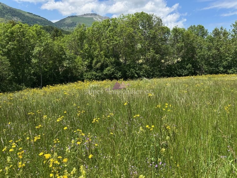 ALPES IMMOBILIER