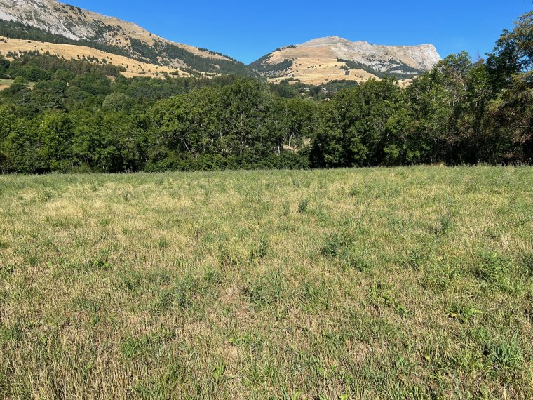 ALPES IMMOBILIER