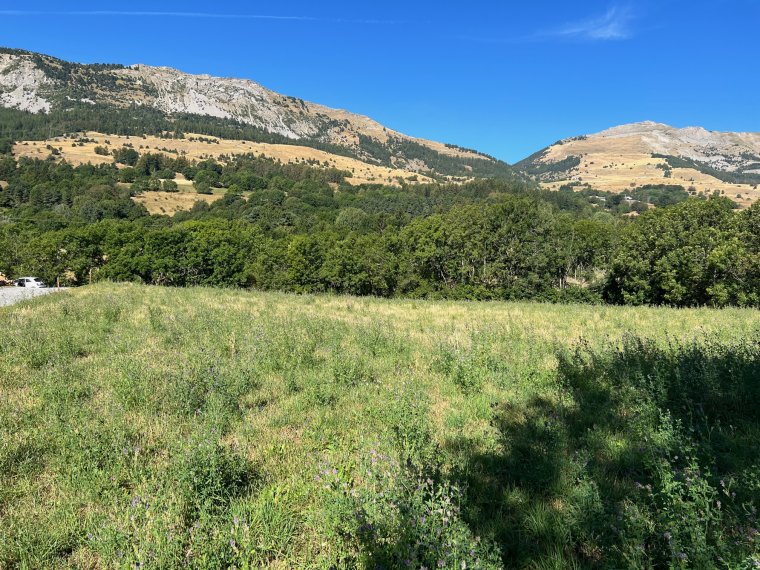 ALPES IMMOBILIER - photo 3