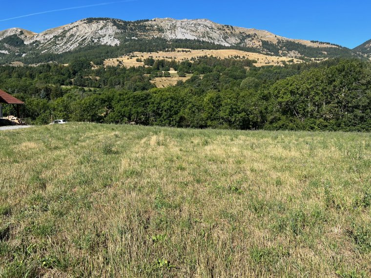 ALPES IMMOBILIER - photo 1