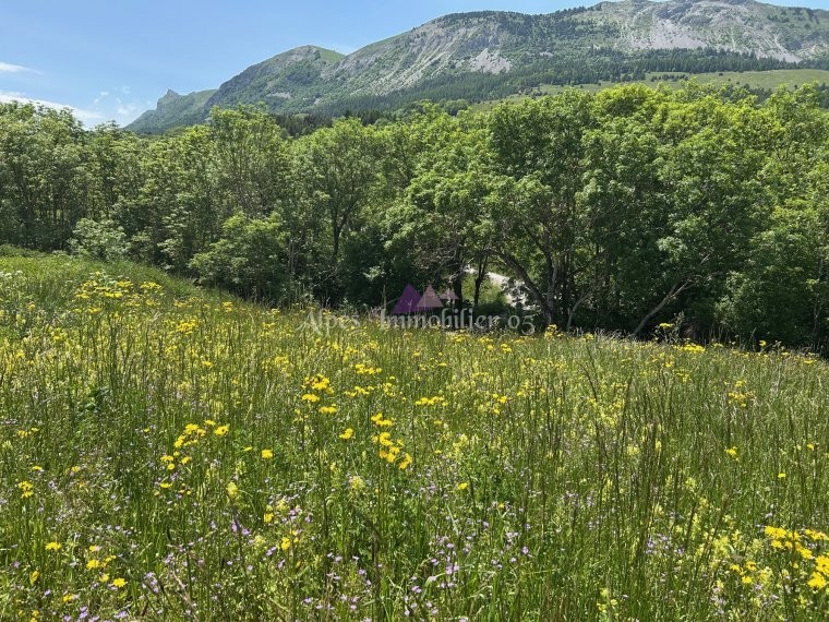 ALPES IMMOBILIER