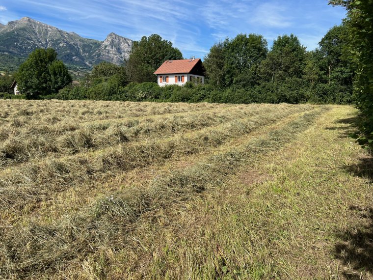 ALPES IMMOBILIER - photo 2