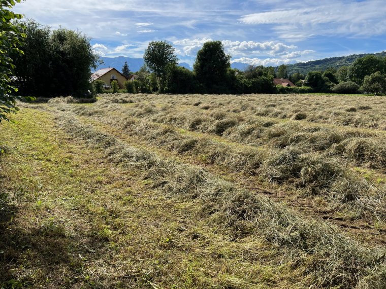ALPES IMMOBILIER - photo 3