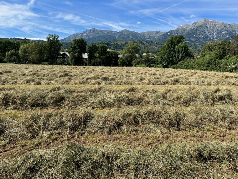 ALPES IMMOBILIER - photo 4