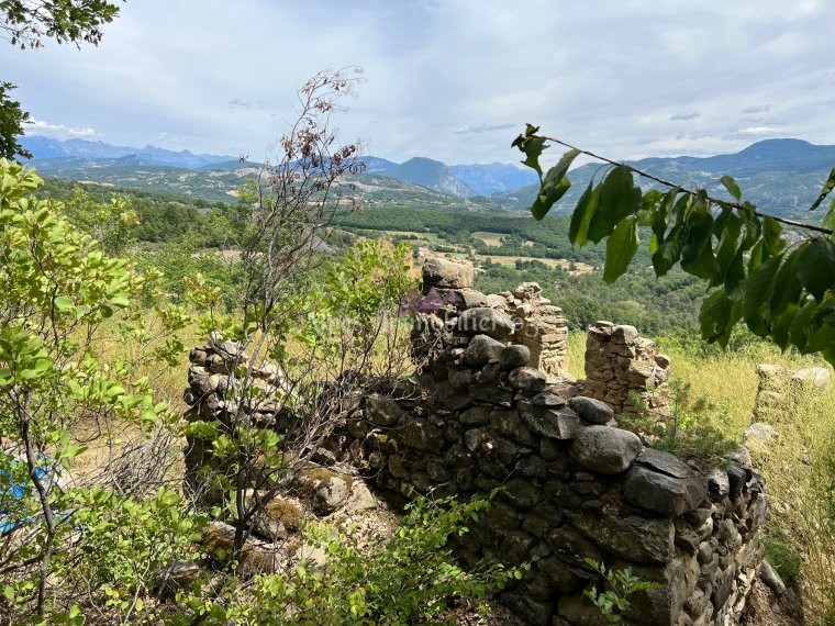 ALPES IMMOBILIER