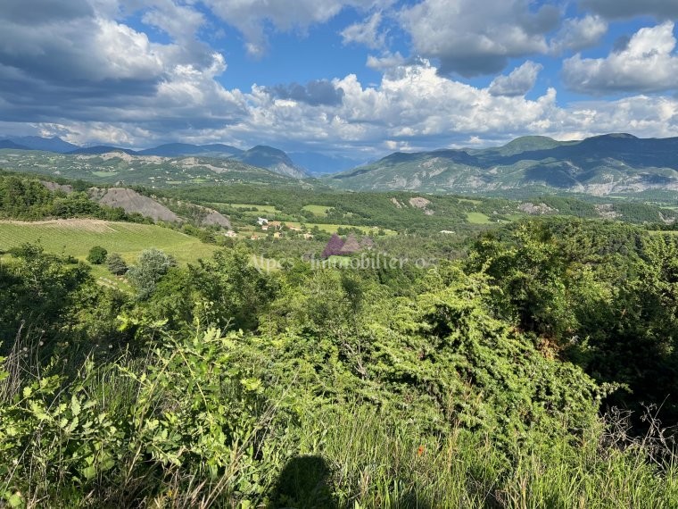 ALPES IMMOBILIER