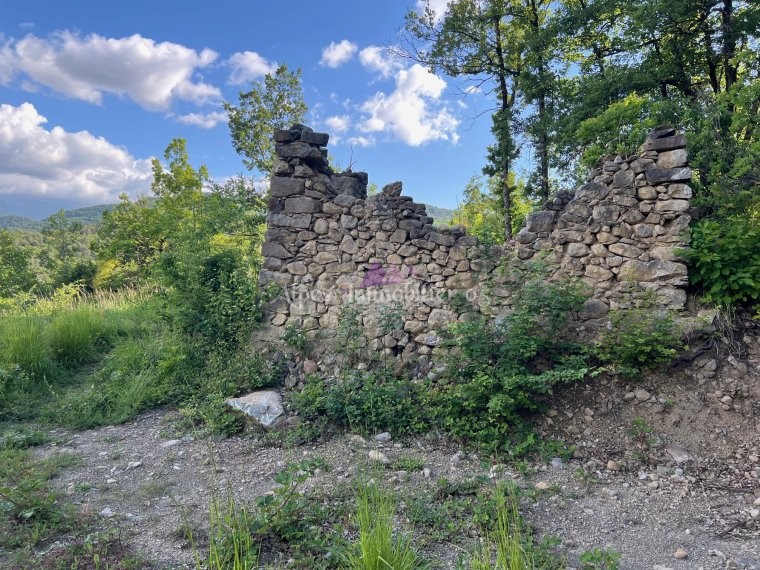 ALPES IMMOBILIER