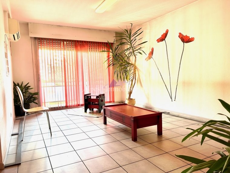 ALPES IMMOBILIER - photo 2
