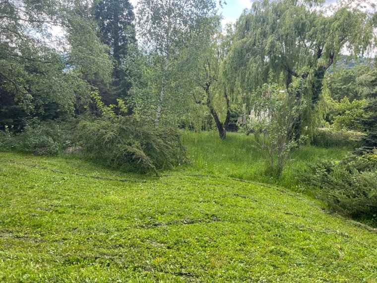 ALPES IMMOBILIER