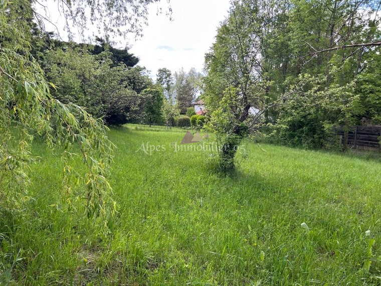 ALPES IMMOBILIER
