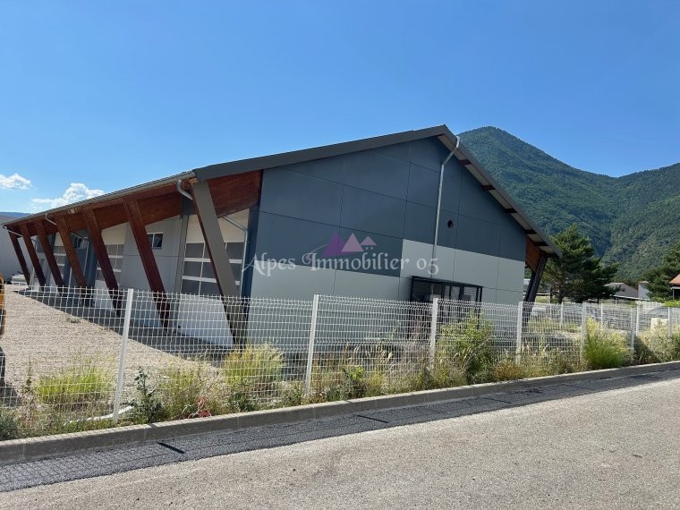 ALPES IMMOBILIER