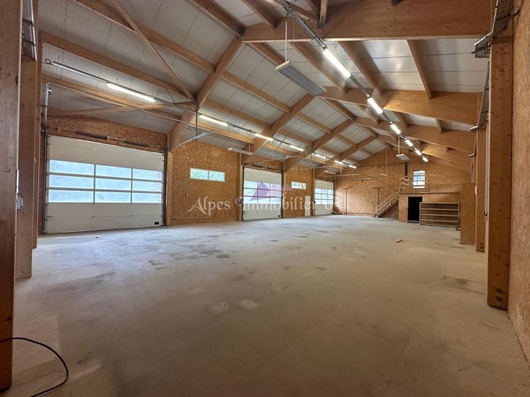 ALPES IMMOBILIER