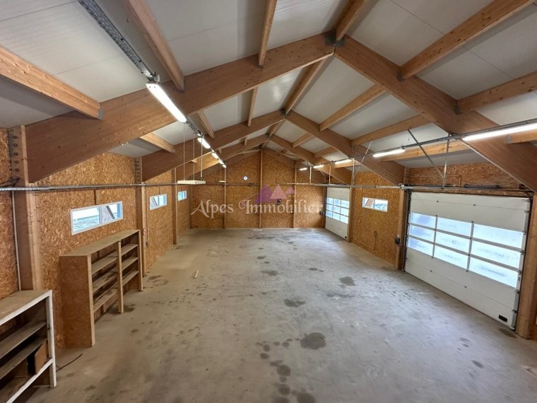 ALPES IMMOBILIER