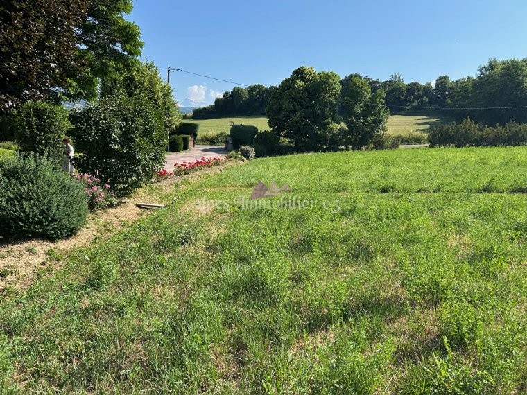 ALPES IMMOBILIER