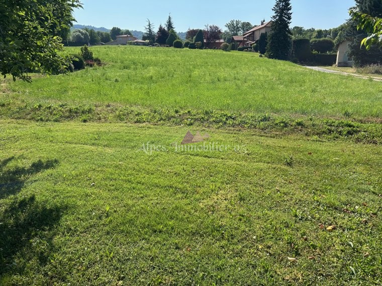 ALPES IMMOBILIER