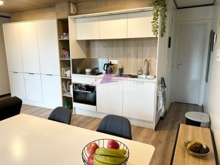 ALPES IMMOBILIER - photo 7