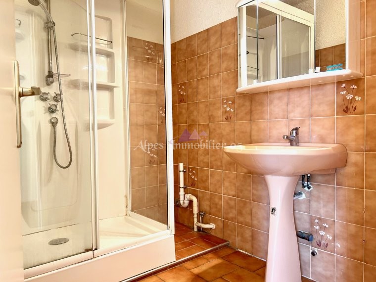 ALPES IMMOBILIER