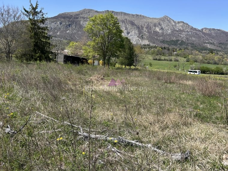 ALPES IMMOBILIER