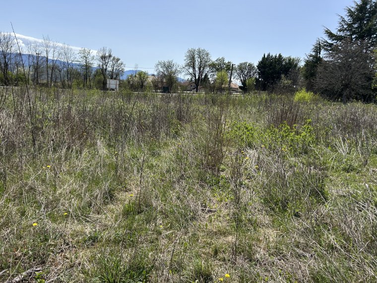 ALPES IMMOBILIER
