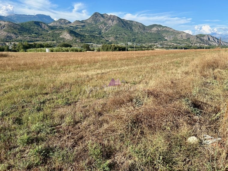 ALPES IMMOBILIER