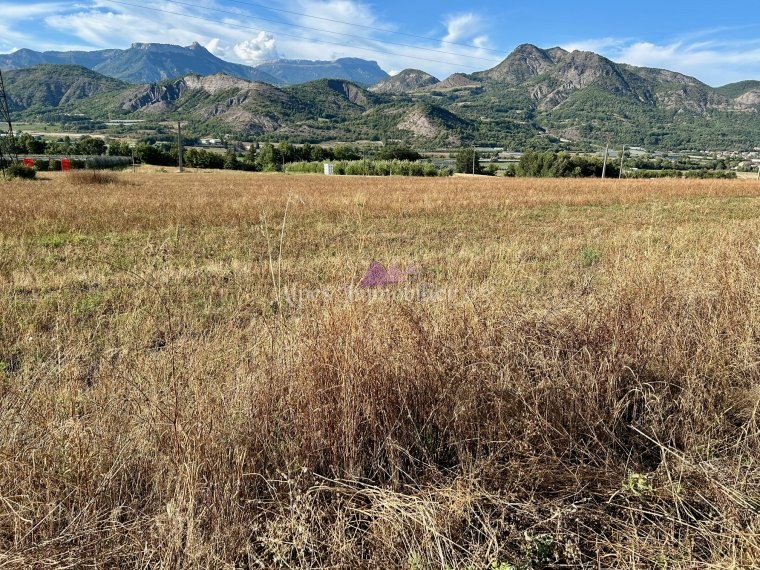 ALPES IMMOBILIER