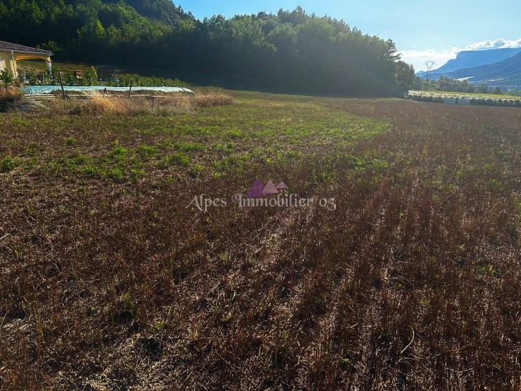 ALPES IMMOBILIER