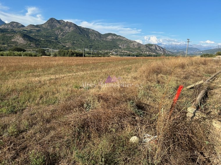 ALPES IMMOBILIER
