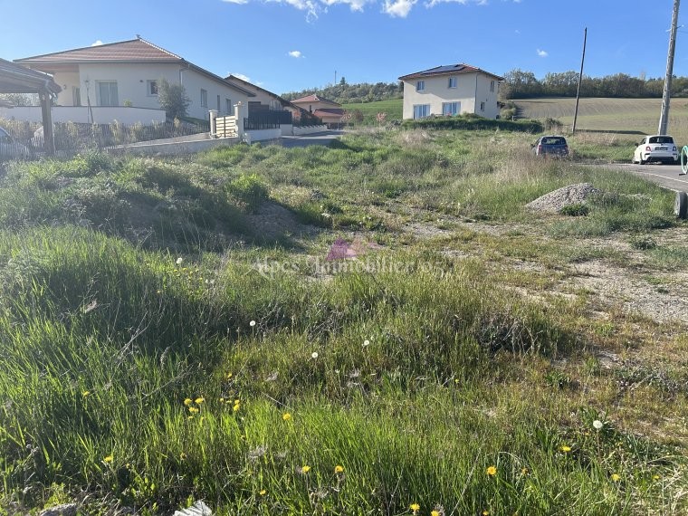 ALPES IMMOBILIER
