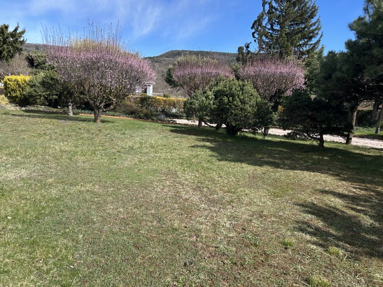 ALPES IMMOBILIER
