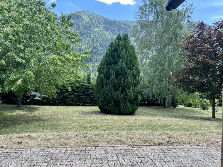 ALPES IMMOBILIER