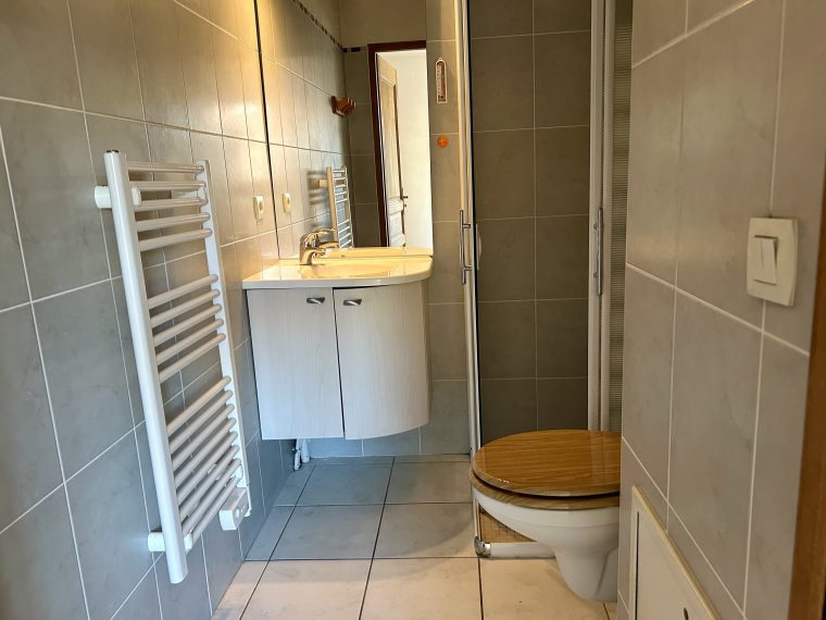 ALPES IMMOBILIER - photo 10