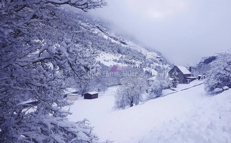 ALPES IMMOBILIER - photo 1