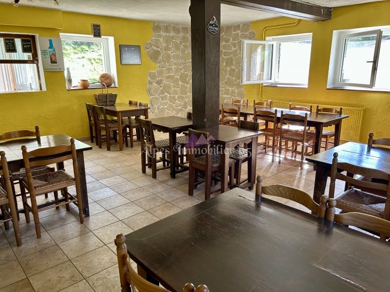 ALPES IMMOBILIER - photo 3